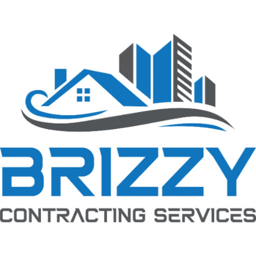 brizzy logo